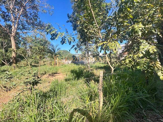 Área para Incorporação para Venda em Lagoa Santa - 4