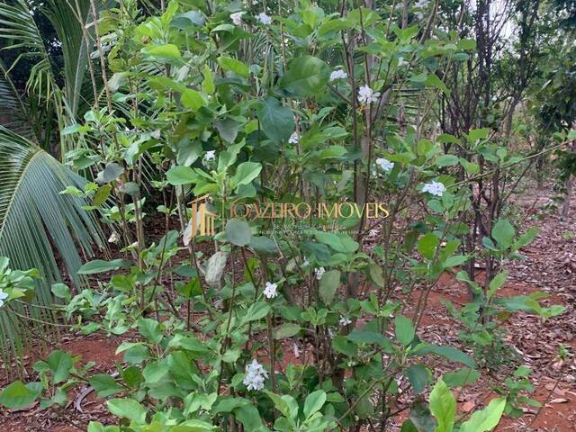#57 - Terreno para Venda em Lagoa Santa - MG