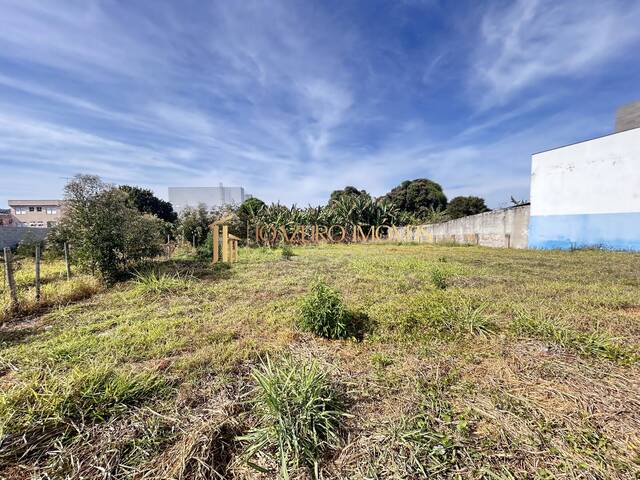 Terreno para Venda em Lagoa Santa - 4