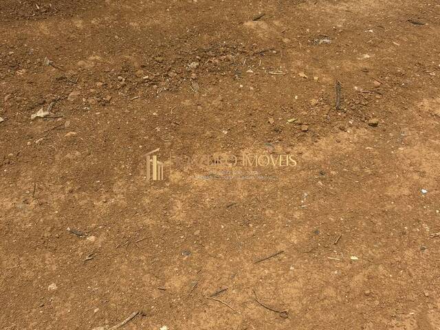 #77 - Terreno em condomínio para Venda em Jaboticatubas - MG