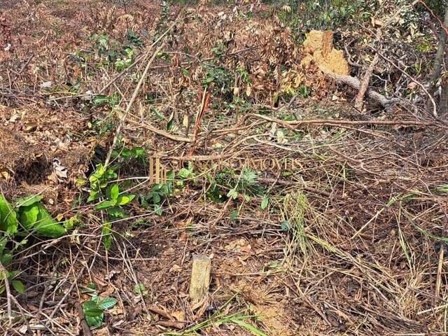 #84 - Área para Incorporação para Venda em Jaboticatubas - MG