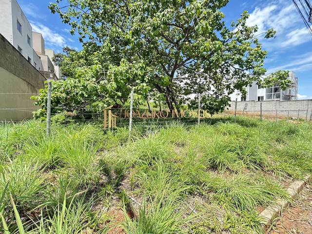 Área para Incorporação para Venda em Lagoa Santa - 4